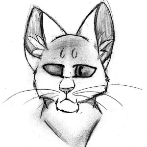 300x300 Xskulleh (Skulleh)