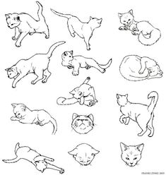 235x248 Cat Gesture Sketches Change Colour, Smooth And Sketches