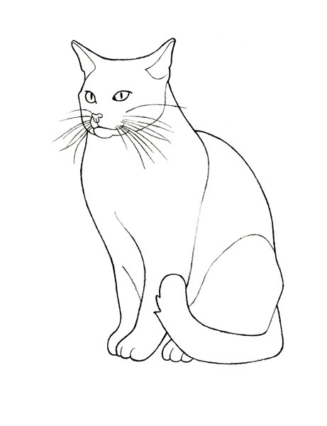 461x600 Cat Graphic Outline
