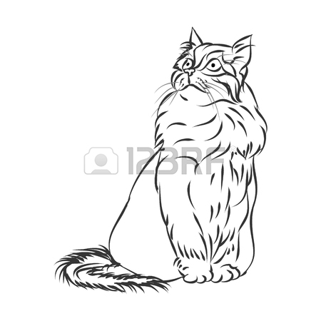 450x450 Black Silhouette Of A Fluffy Cat On A White Background, Vector