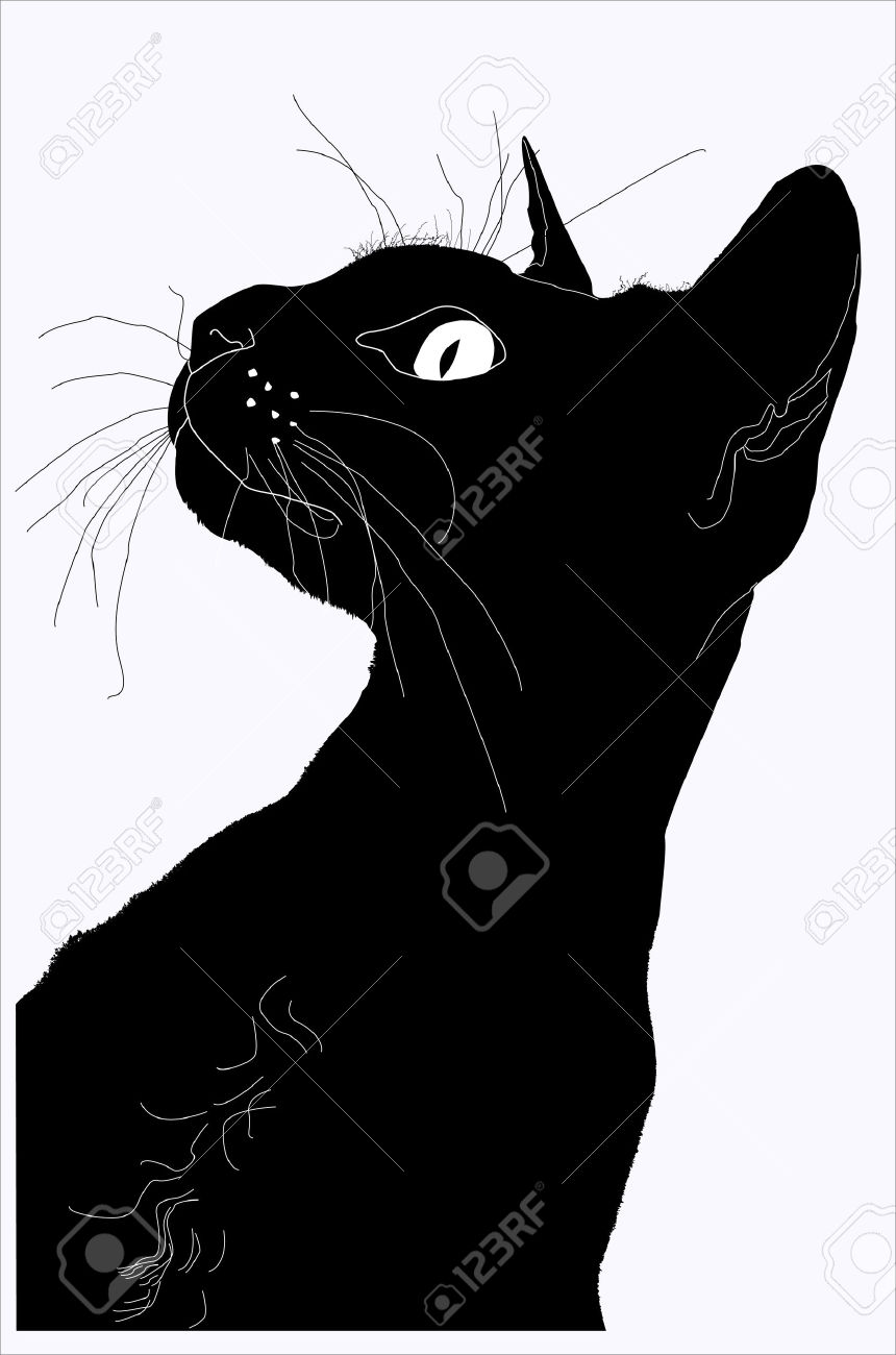 860x1300 Cat Head Silhouette