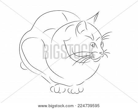 450x356 Cat Silhouette Images, Illustrations, Vectors