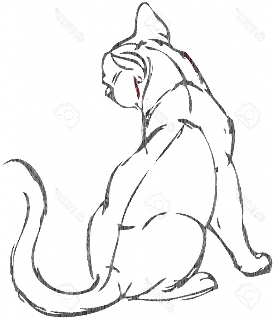 878x1024 Simple Drawing Of Cat Simple Drawing Of A Cat With Vector Effect