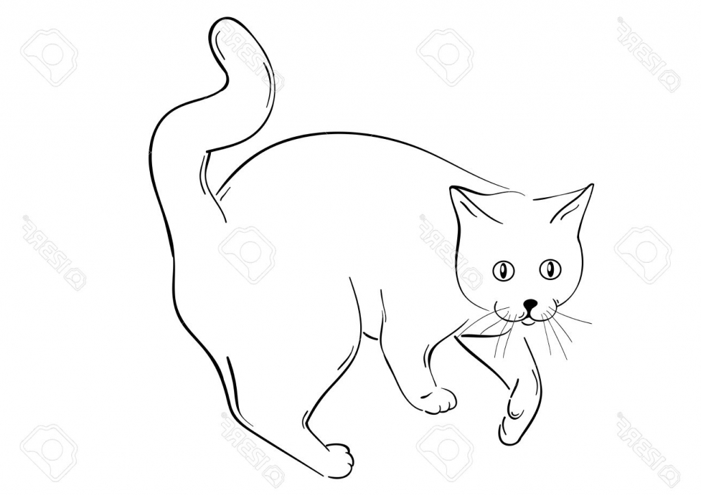 1024x723 Simple Drawing Of Cat Simple Sketch Of Cat On The White Royalty
