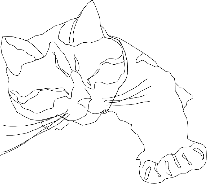 800x710 Cat, Simple, Outline, Drawing, Sleeping, Only, Free