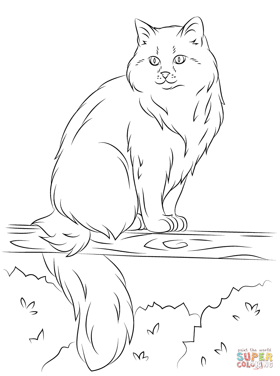895x1200 Siberian Cat Sits On A Tree Coloring Page Free Printable