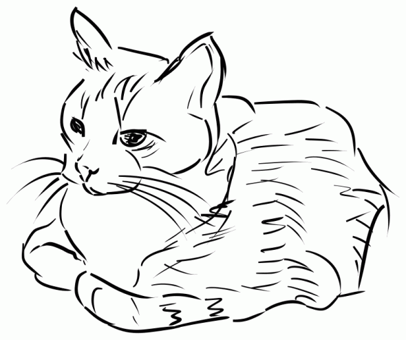 590x494 Calm Cat Sitting Coloring Page Animal Pages Of Kidscoloringpage