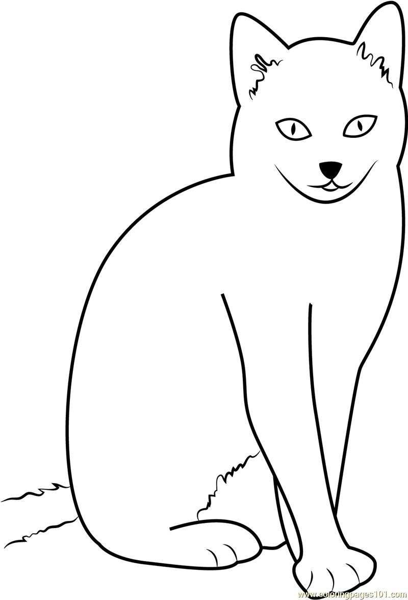 800x1176 Cat Sitting With Style Coloring Page