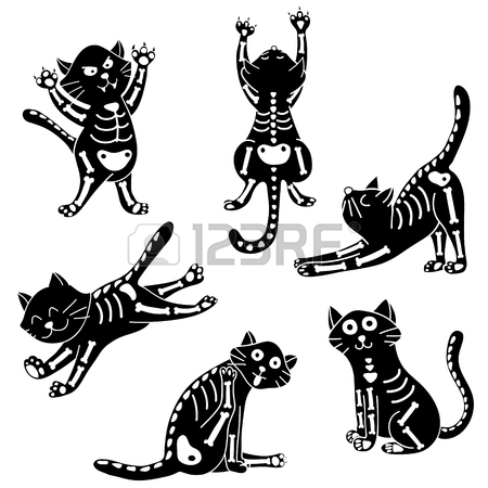 450x450 Set Of Cats Wearing Halloween Costumes Of Skeleton Royalty Free