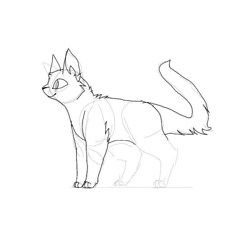 797x797 Step By Step Standing Cat Tutorialprocess Of How I Draw
