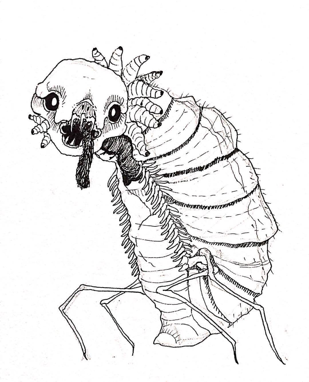 1080x1333 Vishnu Prasad Whatever Got The Cat