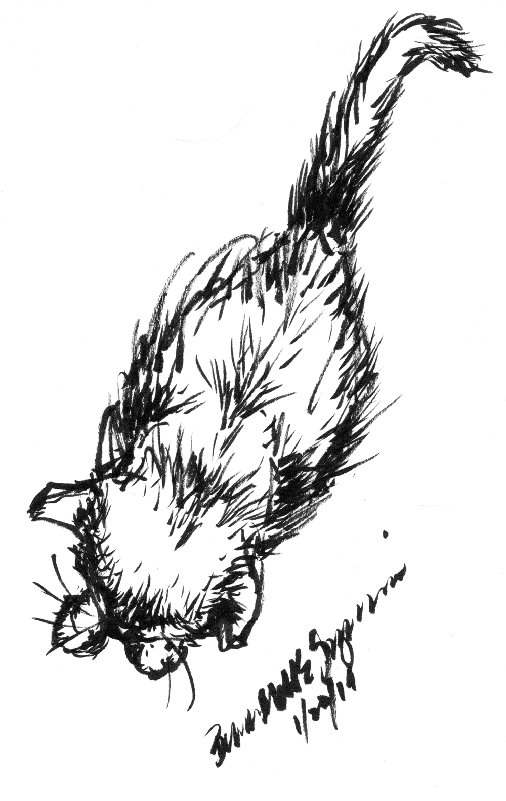 1000x1584 Daily Sketch Emeraude From Above ~ The Creative Cat