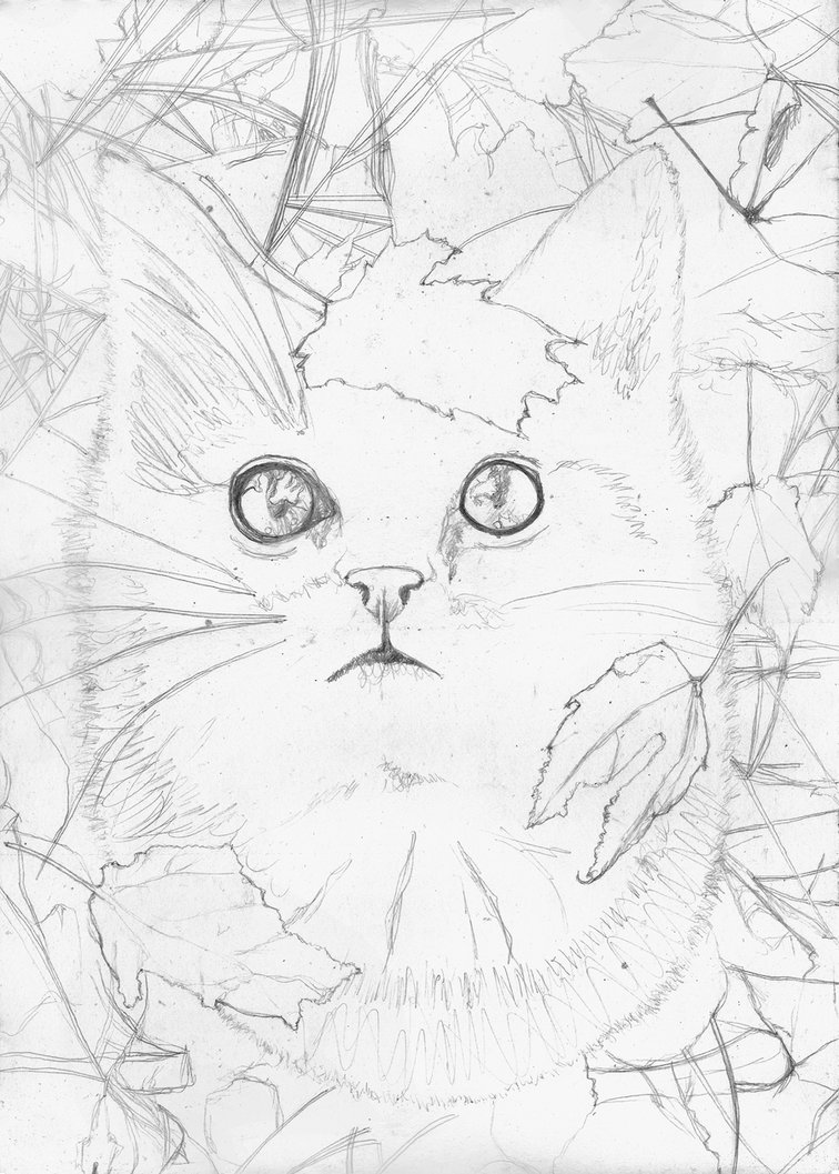 756x1057 Autumn Cat Sketch By Yankeestyle94