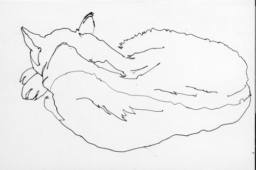 500x333 Making A Mark Hits, 5 Stars And 2 Cat Drawings