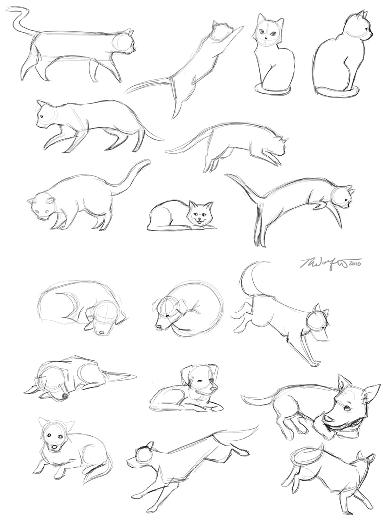 792x1050 Melissa Wolfert Cat Amp Dog Sketches And Animation Update