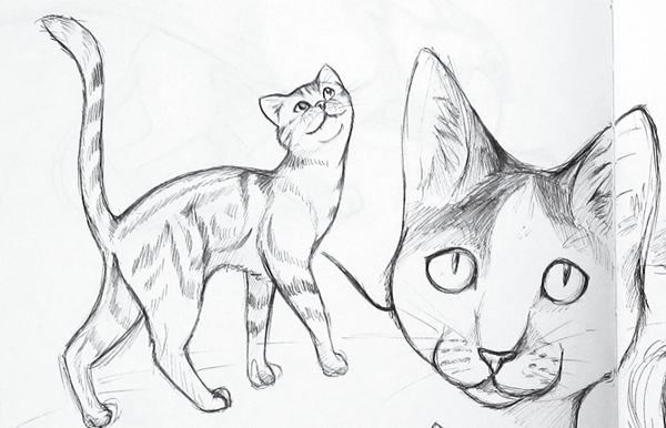 600x386 Cat Sketches By Veronicakosowski