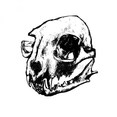 450x450 Lion Skull Vector Stock Vectors, Royalty Free Lion Skull Vector