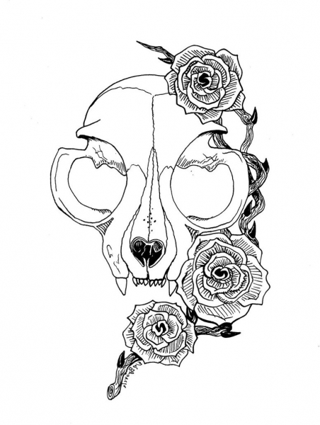 452x600 Siamese Domestic Cat Skull Drawing Images Related To Ideal Cat