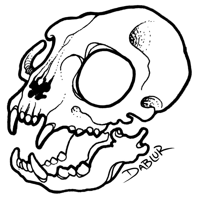 800x800 Small Cat Skull Tattoo Flash Posters By Dablurart Redbubble