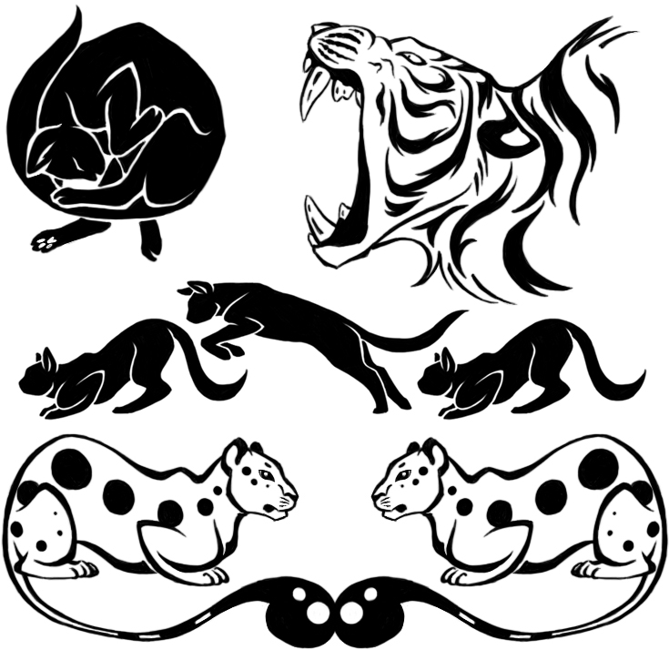 735x714 Cat Design By Tora Shiroi