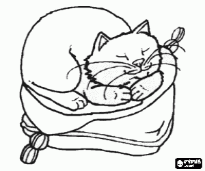 300x250 Cats Coloring Pages Printable Games