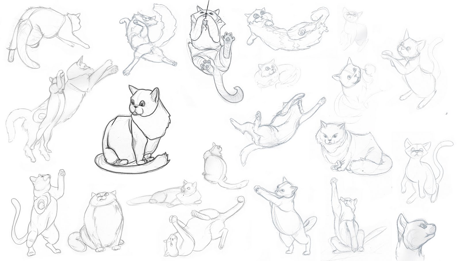 1600x910 Draw A Kitten And Cat Step By Step