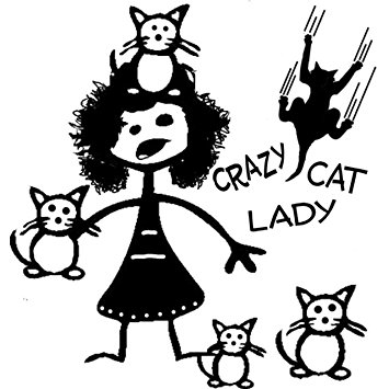 355x355 Crazy Cat Lady Stick Figure Family Decal Can Be