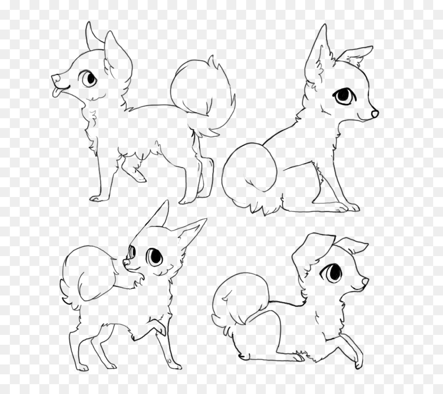 900x800 Cat Puppy Black And White