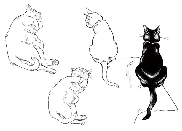 614x442 Celia Bullwinkel Cat Drawings Meathaus