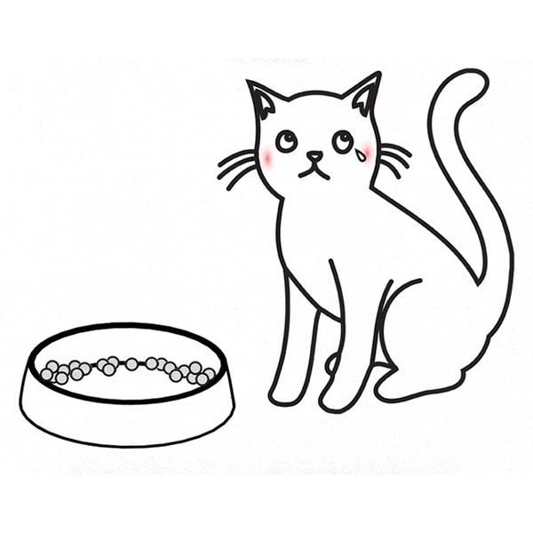 600x600 Dr. Catsby's Stainless Steel Anti Whisker Stress Cat Food Bowl