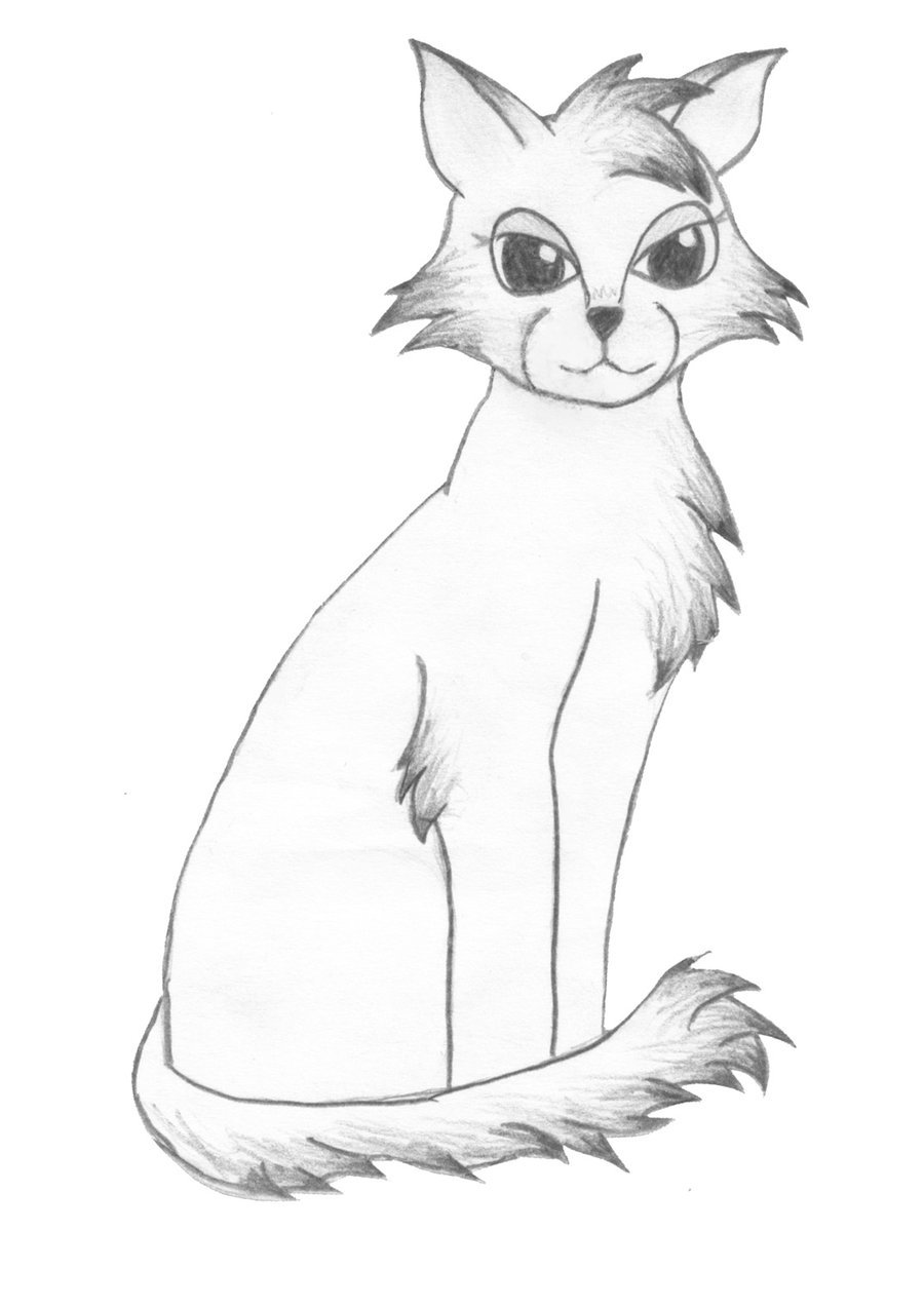 900x1273 Hand Drawn She Cat 2 By Em Silverflake