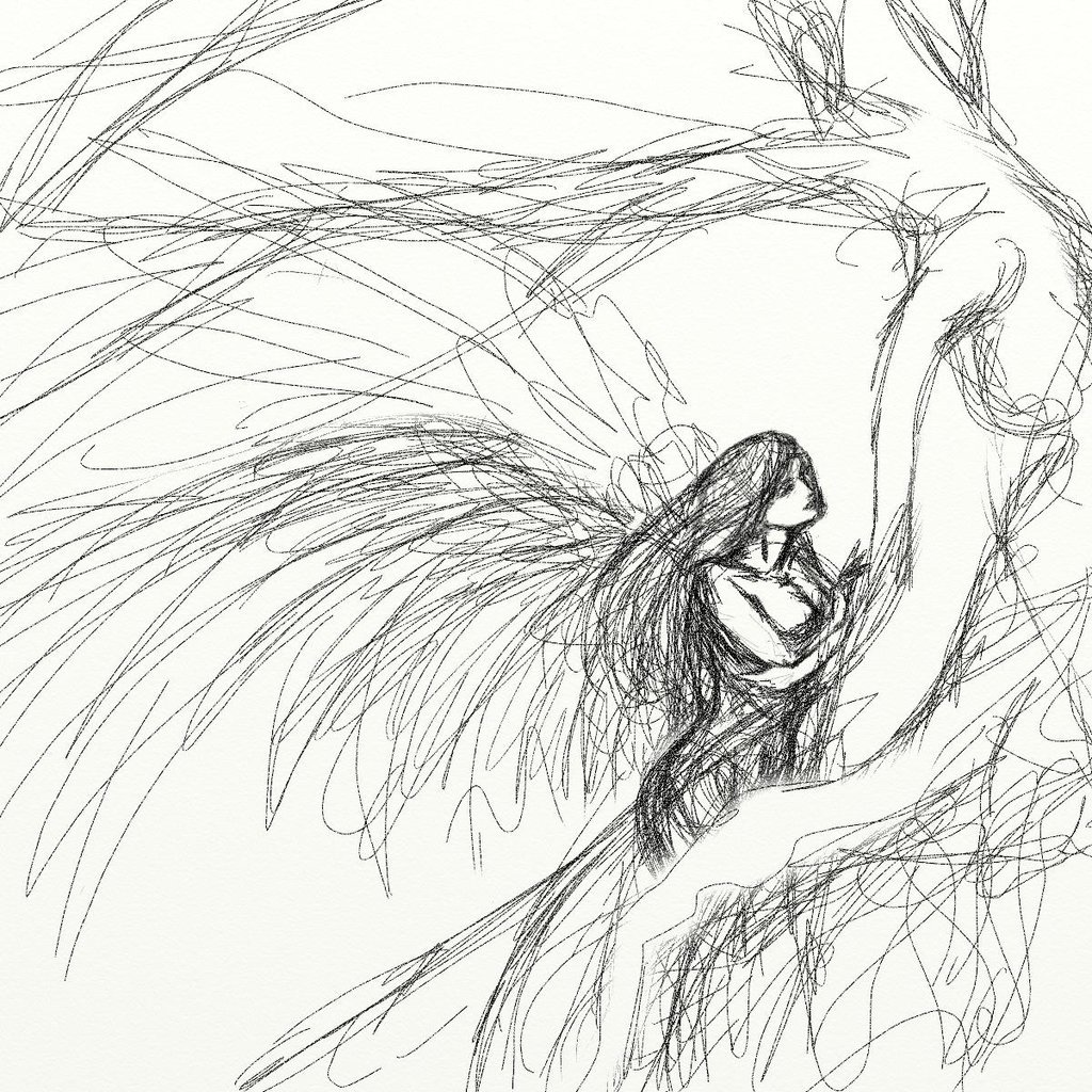 1024x1024 Forest Wings Sketch By Flynn The Cat
