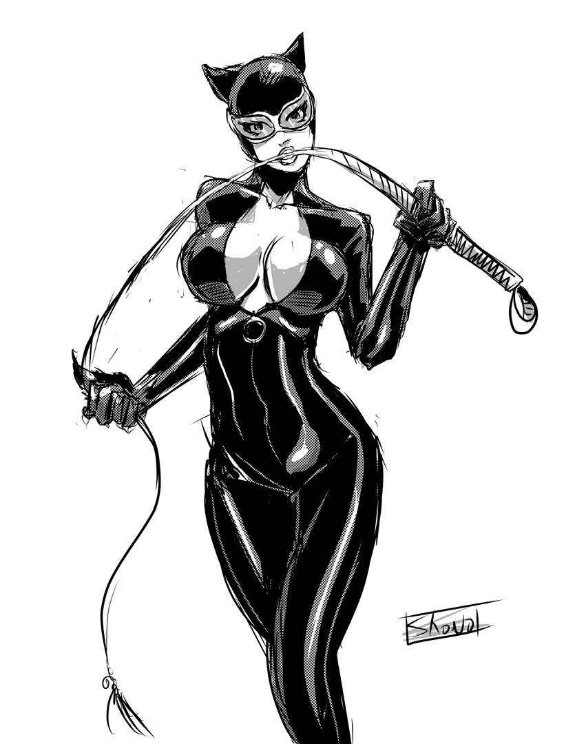 835x1080 Catwoman Sketch By Blitzcadet