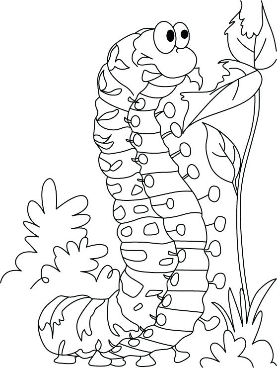558x740 Caterpillar Coloring Pages Caterpillar Satisfying Hunger Coloring