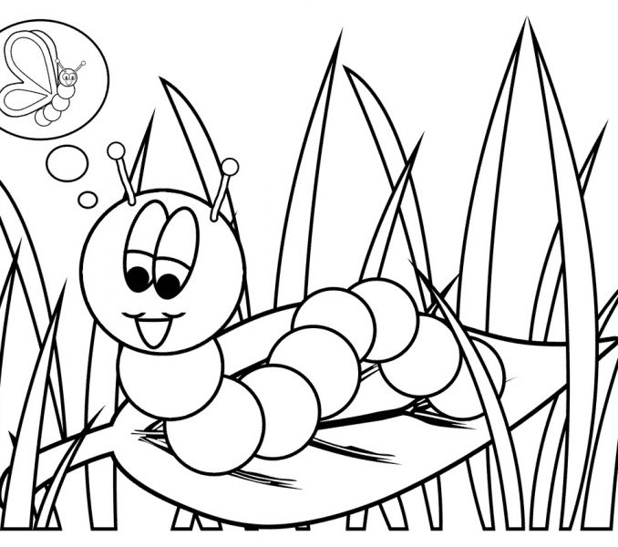 678x600 Colouring Pages Of Caterpillar Kids Coloring
