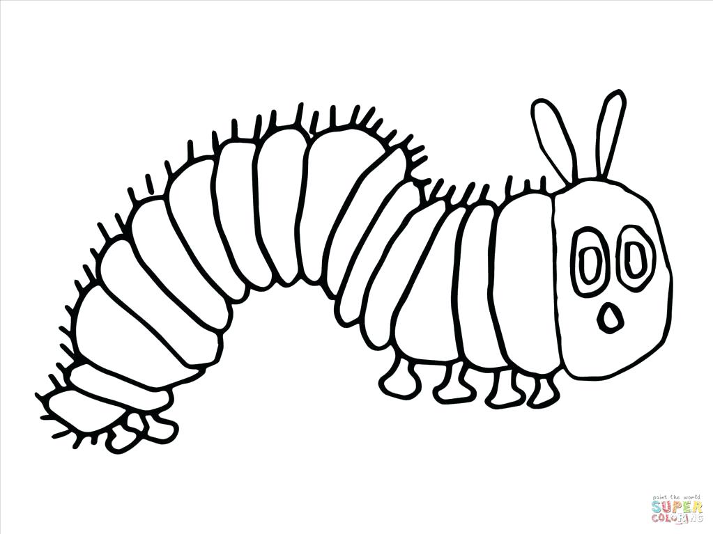 1023x767 Caterpillar Coloring Pages Caterpillar Coloring Pages Pictures