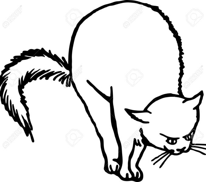 678x600 Scared Cat Drawing Kids Coloring