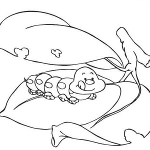 300x300 Caterpillars, Fat Caterpillar Eating The Leaves Coloring Page Fat