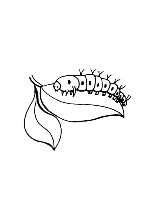 531x750 Coloring Page Caterpillar