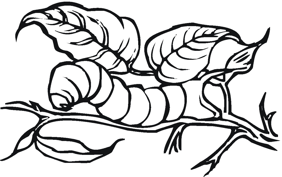 1200x752 Fortune Caterpillar Coloring Pages Printable Me