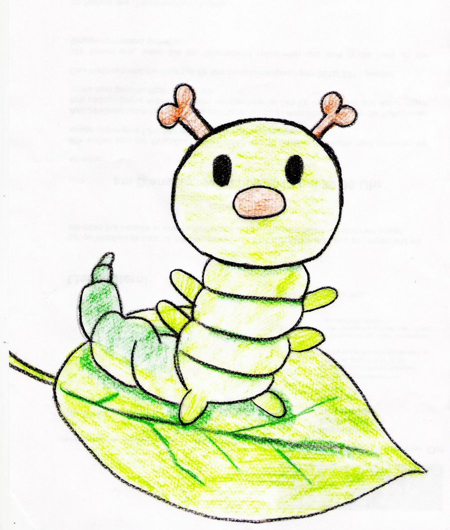 900x1059 Little Caterpillar By Beatstoker