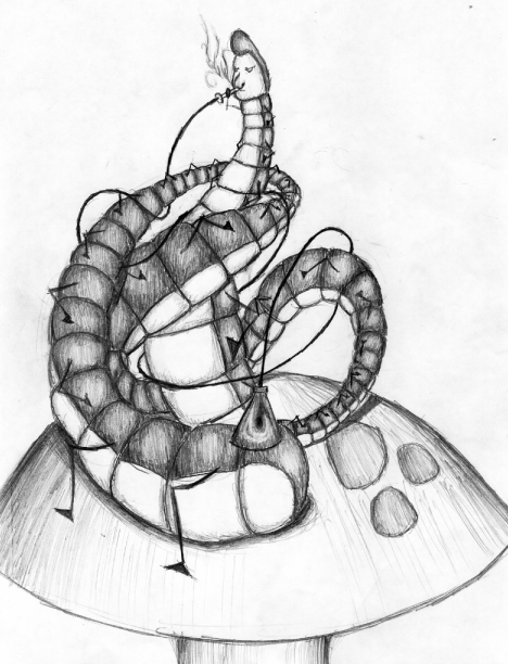 468x612 Real Caterpillar Drawing By Matt Hatter
