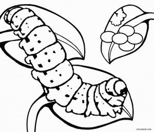 300x257 Caterpillar Egg Coloring Pages Insect Coloring Pages
