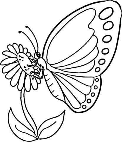 413x480 Ideas Monarch Butterfly Coloring Page And 12 Monarch Butterfly