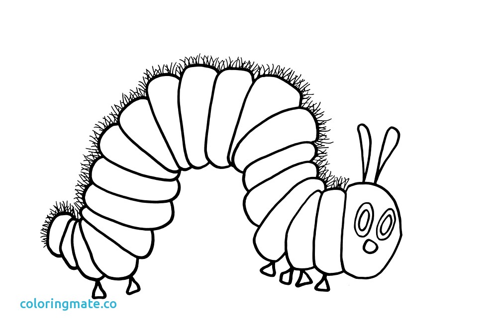 991x668 The Very Hungry Caterpillar Coloring Pages Awesome Very Hungry