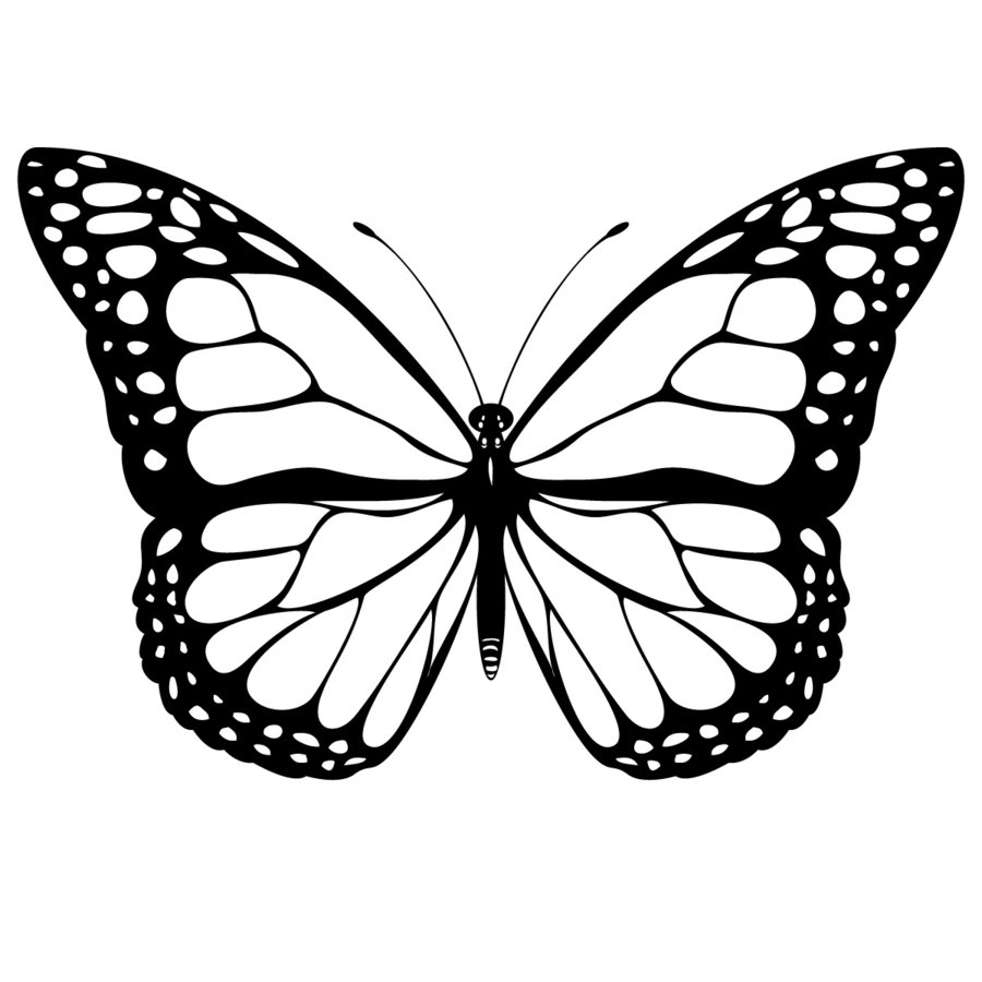 900x900 Butterfly Coloring Pages ~ Butterfly Beautiful Pictures