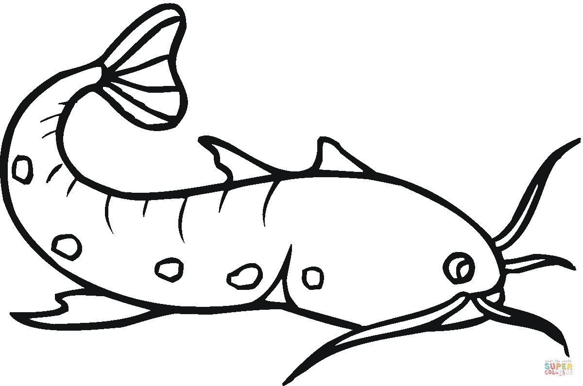1200x795 Catfish 23 Coloring Page Free Printable Coloring Pages