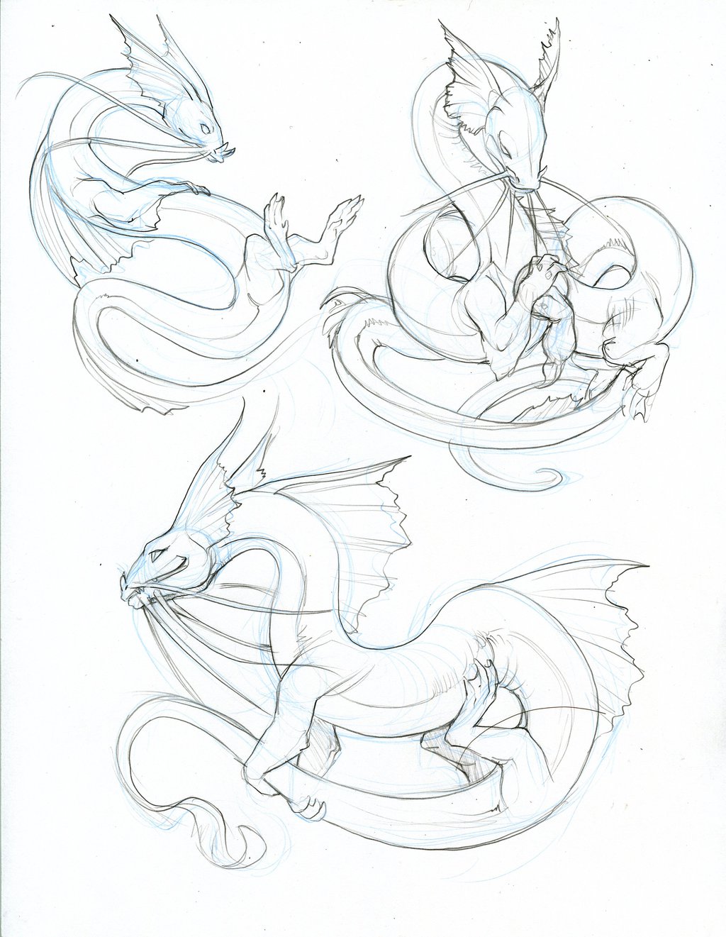1024x1321 Catfish Dragon Sketches By Hibbary