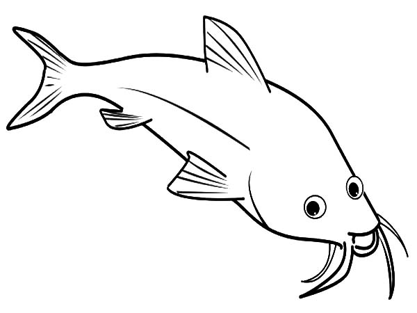 600x450 Find The Best Coloring Pages Resources Here!
