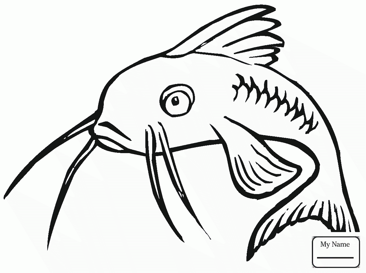 1224x913 Catfish Catfish 14 Fish Coloring Pages For Kids
